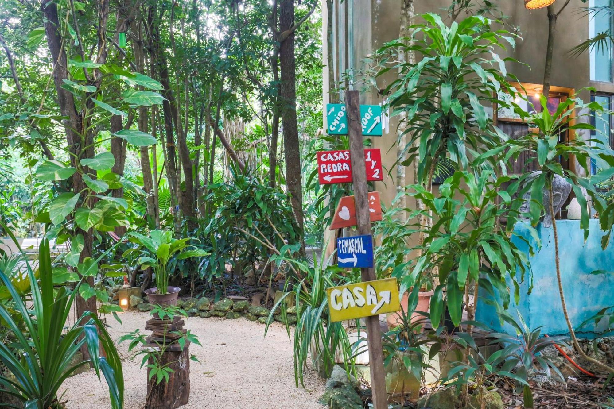Guest House La Aldea Holistic Experience Cancun Exterior photo